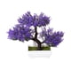 thumbnail image 1 of Inteprter Bonsai de simulación de pino plantas artificiales decoración hogar maceta plástico color Púrpura, 1 of 6