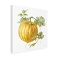 thumbnail image 2 of Trademark Fine Art 'Floursack Autumn V on White' Canvas Art by Danhui Nai, 2 of 3
