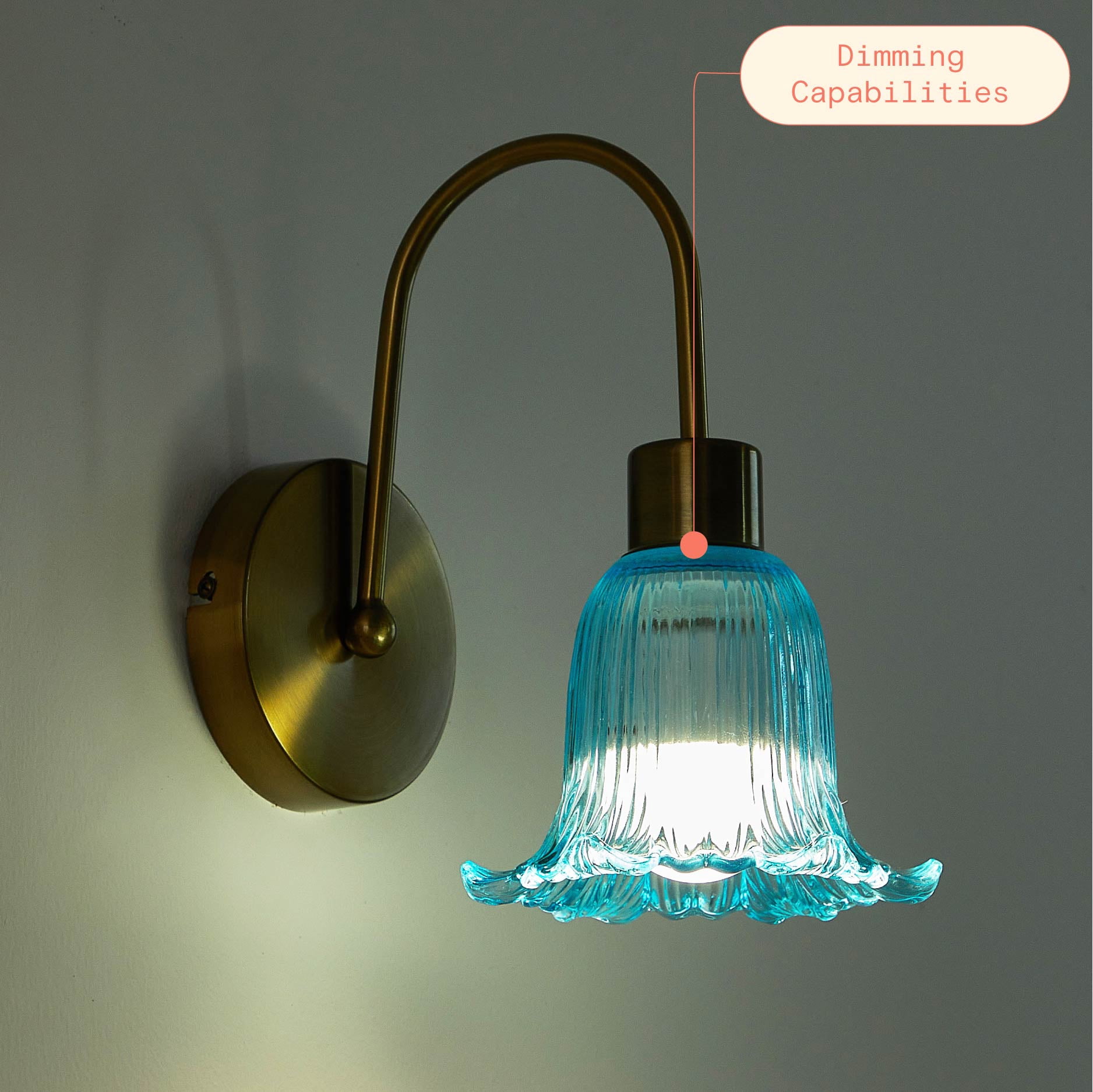 Beautiful Blue Flower Petal LED Rechargeable Wall Sconce by Drew Barrymore