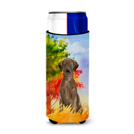 

Carolines Treasures CK1951MUK Fall Chocolate Labrador Retriever Michelob Ultra Hugger for slim cans Slim Can