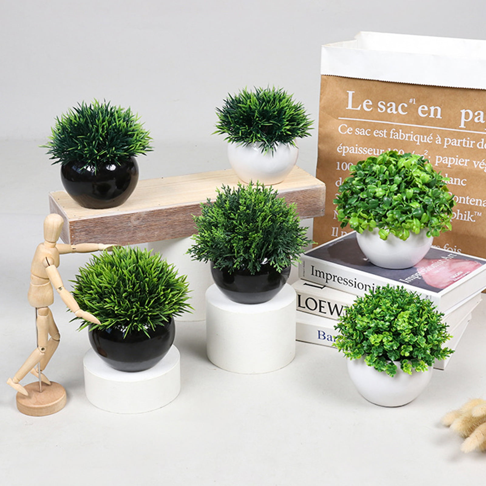 POLYSCIAS Plante en pot, bonsaï/coloris assortis, 14 cm - IKEA