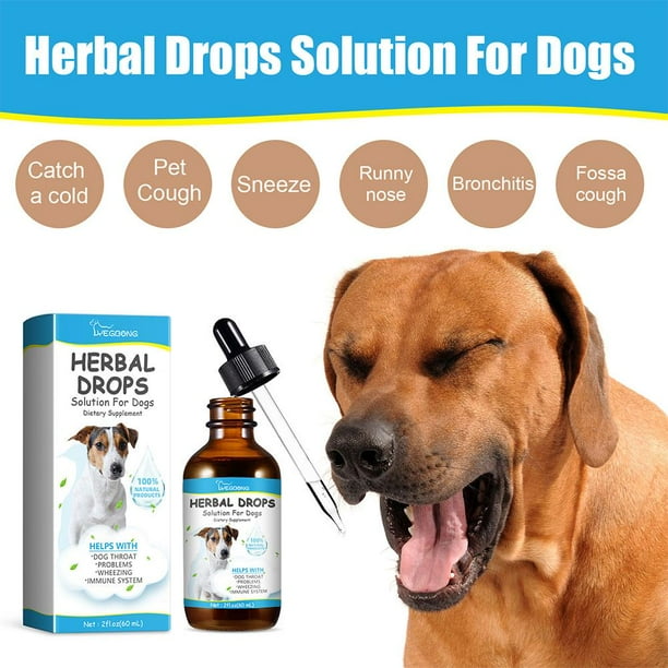 Kennel Cough Treatment Dog Medicine For Runny Nose PFDDRW