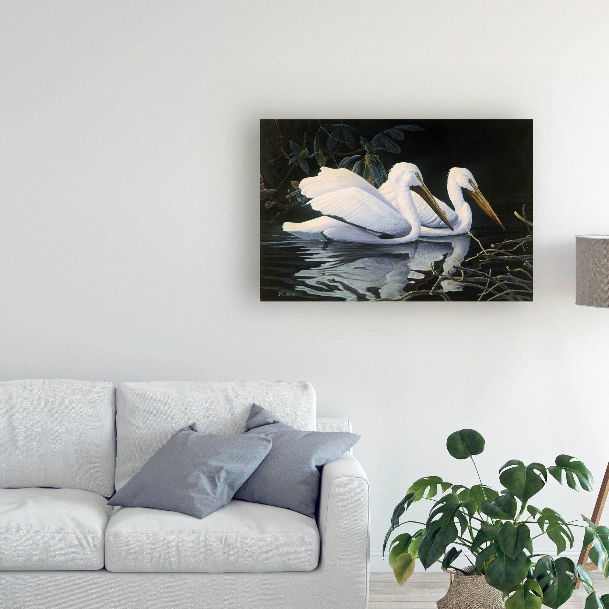 Trademark Fine Art 'Pelicans Swimming' Canvas Art by Michael Budden