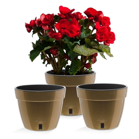 ?? Santino ASTI 12.6 Inch Self Watering Planters GOLD/BLACK (Set of 3) for Indoor Plants - Modern Plastic Pot w/ Water level Indicator for All House Plants  African Violets and Dahlias