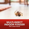 thumbnail image 3 of Eliminator Indoor Fogger, Kills Roaches Ants And Other Listed Insects, 4 Count, 3 of 8