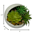 thumbnail image 2 of Star Wars Ceramic Planter with Faux Succulent Houseplant 4 inches, 2 of 6
