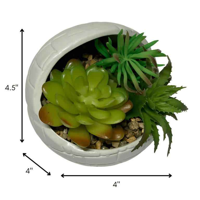 Star Wars Ceramic Planter with Faux Succulent Houseplant 4