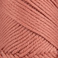thumbnail image 2 of 10 Skeins of Sensy Super Soft Saver Yarn, 3.5 oz, 190 Yards, Gauge 4 Medium (Salmon), 2 of 8
