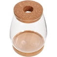 thumbnail image 3 of 1 Set Clear Glass Hydroponic Terrarium Planter Bottle with Lid, Moss Plant Holder for Indoor Gardening and Decoration, 3 of 6