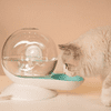 Bangcool Pet Water Feeder Plastic Automatic Cat Water Dispenser Gravity Waterer for Dog