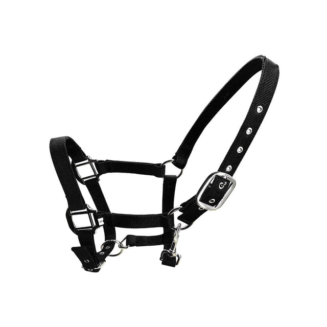 Collier de Tête de Poney Rembourré Grande Résilience Équipement de Protection Fournitures de Cheval Solidité Coussin de Selle de Course Noir TP