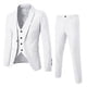 thumbnail image 1 of Traje de hombre de corte entallado, traje de 3 piezas, traje de boda y baile, 1 of 4