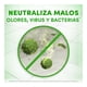thumbnail image 2 of Limpiador Multiusos Líquido Fabuloso Frescura Activa Pasión de Frutas 2 L, 2 of 5