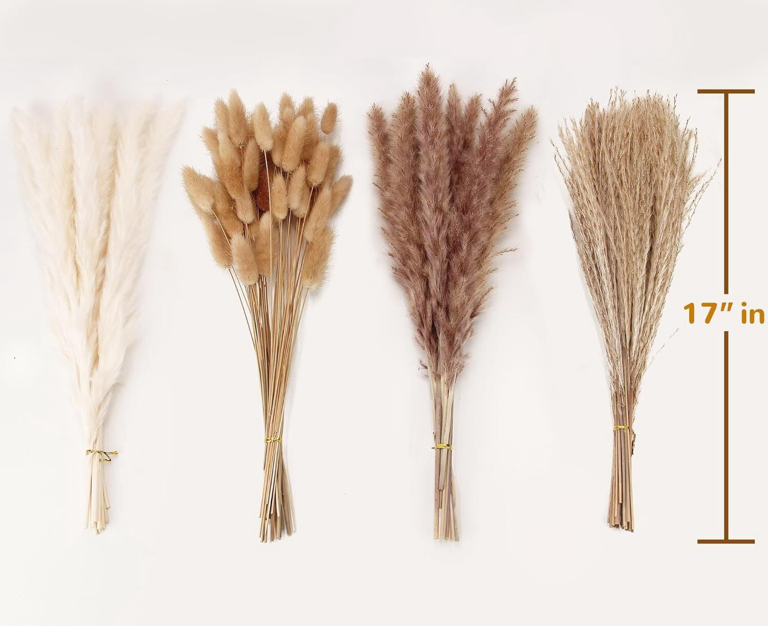 GoXteam 100Pcs Pampas Grass Decor-Bunny Tails Dried Flowers, Reed Grass Bouquet for Spring Home Wedding Table Vase Boho Decor