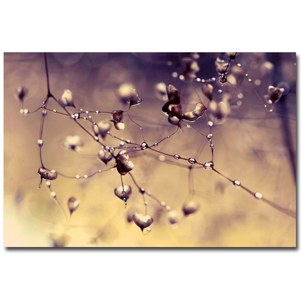 Trademark Fine Art "Little Adventures" Canvas Art by Beata Czyzowska Young