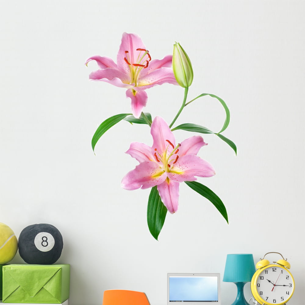 Lily Flower Sticker Lily Flower Wall Decor Lily Flower Wall Decal Lily Decal 