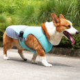thumbnail image 4 of Chaleco refrescante de verano para perros, arnés reflectante de liberación rápida, ropa para mascotas, chaqueta fresca para perros pequeños y medianos, abrigo más fresco, 4 of 5