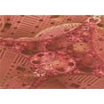 thumbnail image 1 of Ahgly Company Machine Washable Indoor Rectangle Transitional Bright Orange Area Rugs, 3' x 5', 1 of 7