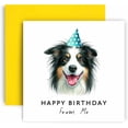 thumbnail image 1 of Huxters Birthday Card from the Dog \u2013 Border Collie - Happy Birthday to Dog Mum and Dog Dad \u2013 Birthday Card from the Dog to Friends Family First Birthday (Border Collie), 1 of 7