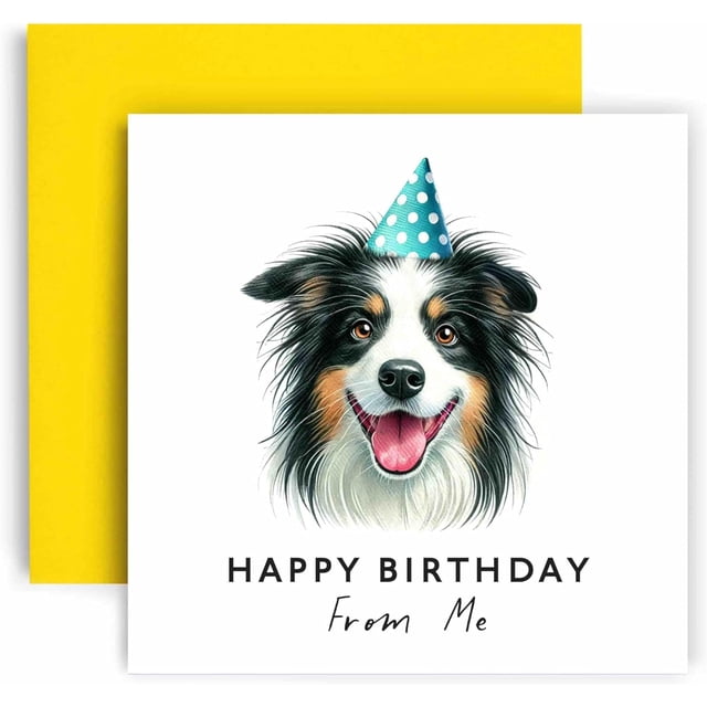 Huxters Birthday Card from the Dog \u2013 Border Collie - Happy Birthday to Dog Mum and Dog Dad \u2013 Birthday Card from the Dog to Friends Family First Birthday (Border Collie)