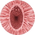 thumbnail image 1 of Ahgly Company Machine Washable Indoor Round Transitional Pastel Pink Area Rugs, 5' Round, 1 of 7