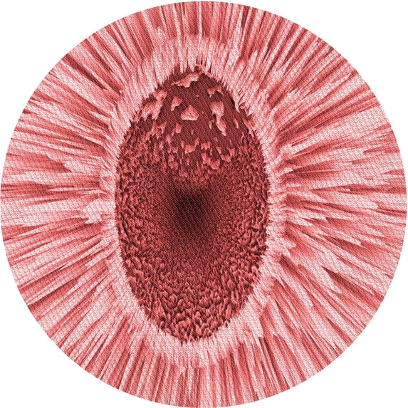 Ahgly Company Machine Washable Indoor Round Transitional Pastel Pink Area Rugs, 5' Round