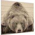 thumbnail image 2 of Trademark Fine Art Deep Sleep by PHBurchett, Wood Slats 18x22, Multi-Color, 2 of 8