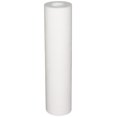 W5P Whole House Sediment Filter Cartridge (2Pack),White