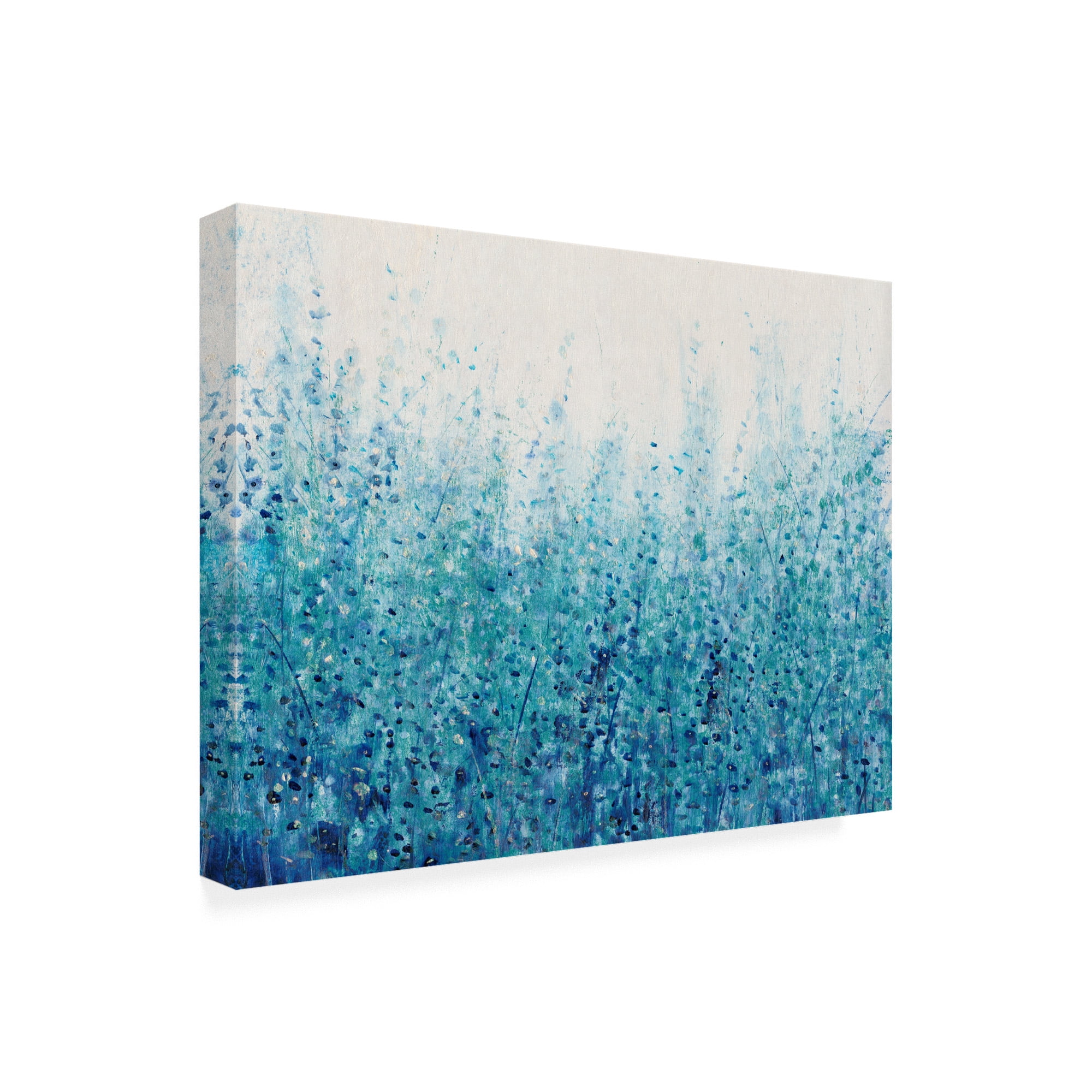 Trademark Fine Art 'Misty Blues I' Canvas Art by Tim OToole
