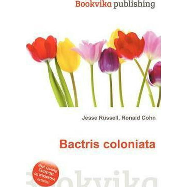 Bactris Coloniata
