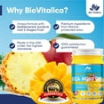 thumbnail image 7 of Sea Moss Gel by BioVItalica (Mango Pineapple) - Irish sea Moss Dr Sebi, Vegan superfood for Cells Wildcrafted Irish Sea Moss Gel – Rich in Minerals, Proteins & Vitamins – Antioxidant, 7 of 7