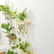 thumbnail image 2 of Tubos de Propagación de Plantas de 3 Niveles Mini Tubo de Ensayo Florero Maceta de Vidrio para Corte de Plantas Hidropónicas Hogar Jardín Decoración de Oficina Regalo ANGGREK  Otros, 2 of 8