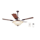 thumbnail image 1 of VENTILADOR DE TECHO CRAFTMADE  MERIDIAN, 1 of 2