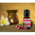 thumbnail image 5 of Super Cherry Fragrance Oil Aromatic Premium Grade Scented Perfume Oil 10 mL / .33 Oz by Sponix Made in USA / FAST DELIVERY, 5 of 8