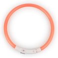 thumbnail image 1 of Collier pour Chien Rechargeable LED Clignotant Lumineux de Nuit avec Collier pour Chiots, 1 of 5