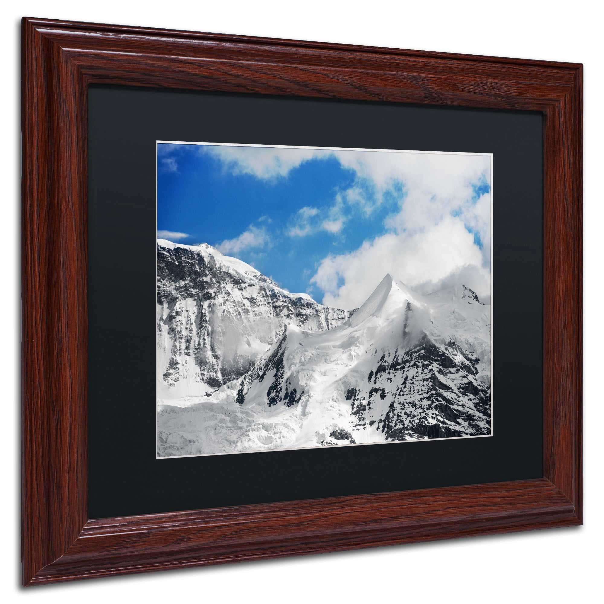 Trademark Fine Art "Ethereal" Canvas Art by Philippe Sainte-Laudy, Black Matte, Black Frame