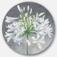 thumbnail image 1 of Designart 'Flower Cleome Splash I' Farmhouse Metal Circle Wall Art, 1 of 3