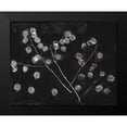 thumbnail image 2 of Rhue, Piper 14x12 Black Modern Framed Museum Art Print Titled - Nature by the Lake Honesty Black Crop, 2 of 5