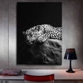 thumbnail image 3 of Mudket Framed Black and White Leopard Canvas Wall Art, Sleeping Leopard Print, Modern Animal Wall Decor for Bedroom Living Room - 12"L x 8"W, 3 of 10