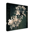 thumbnail image 2 of Trademark Fine Art 'Two Unknowns Texture' Canvas Art by Michael Harrison, 2 of 3