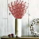 thumbnail image 1 of Adornos navideños, adornos navideños, regalos navideños, adornos navideños, 10 piezas por juego, 42 cm, 12 esquejes de árbol de Navidad bifurcados, accesorios para ramos navideños, esquejes de árboles, 1 of 5