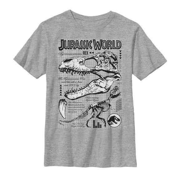 Boy's Jurassic World: Fallen Kingdom T. Rex Details  Graphic Tee Athletic Heather Large