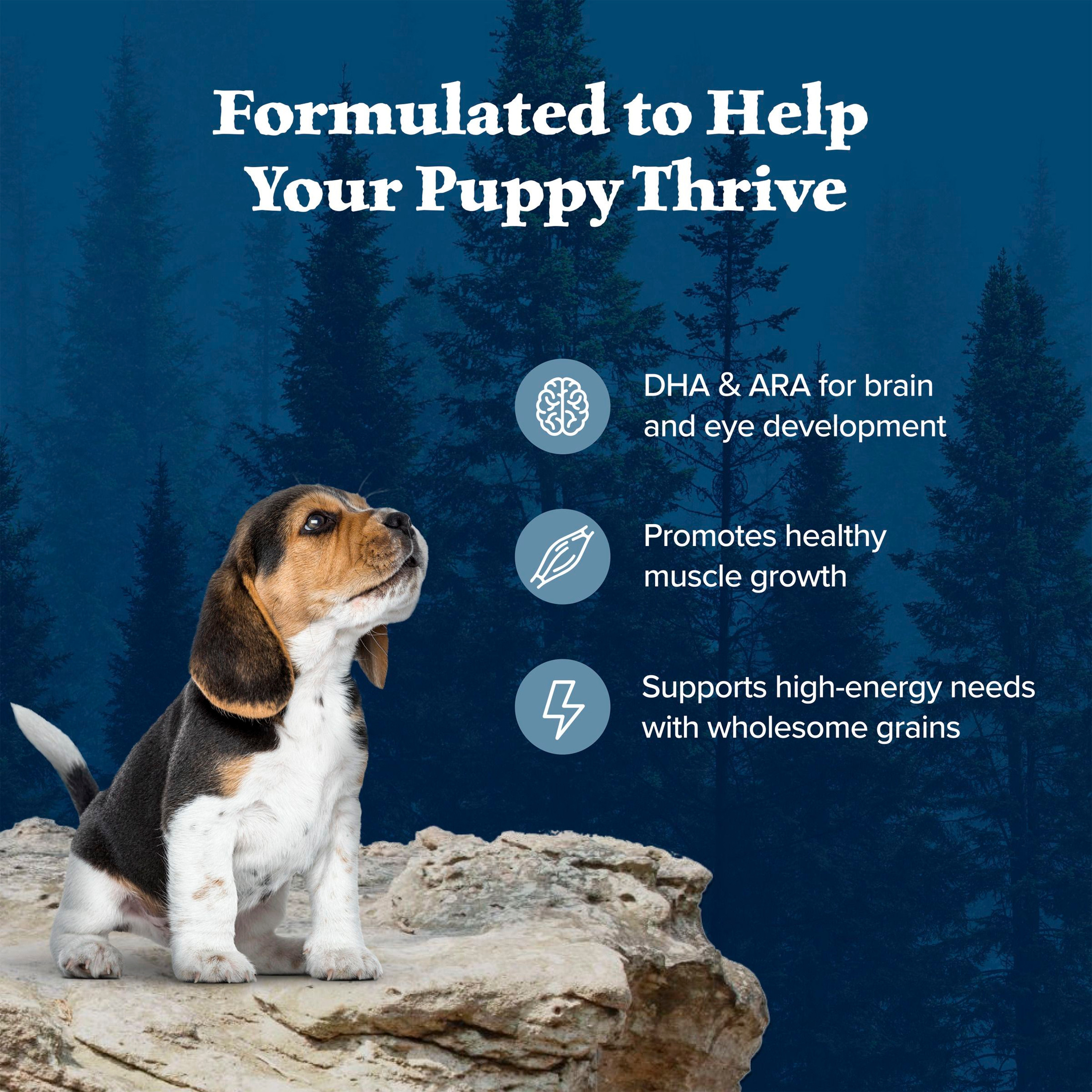 Blue Buffalo Wilderness High-Protein Puppy Dry Food, 4.5 lb photo 4