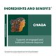 thumbnail image 4 of Suplemento Host Defense Chaga Capsules 120 cápsulas, 4 of 7