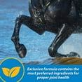 thumbnail image 5 of Farnam Fluidflex Liquid Joint Supplement for Horses, Helps maintain healthy hip & joint function, 32 Ounces 32 Day Supply, 5 of 9