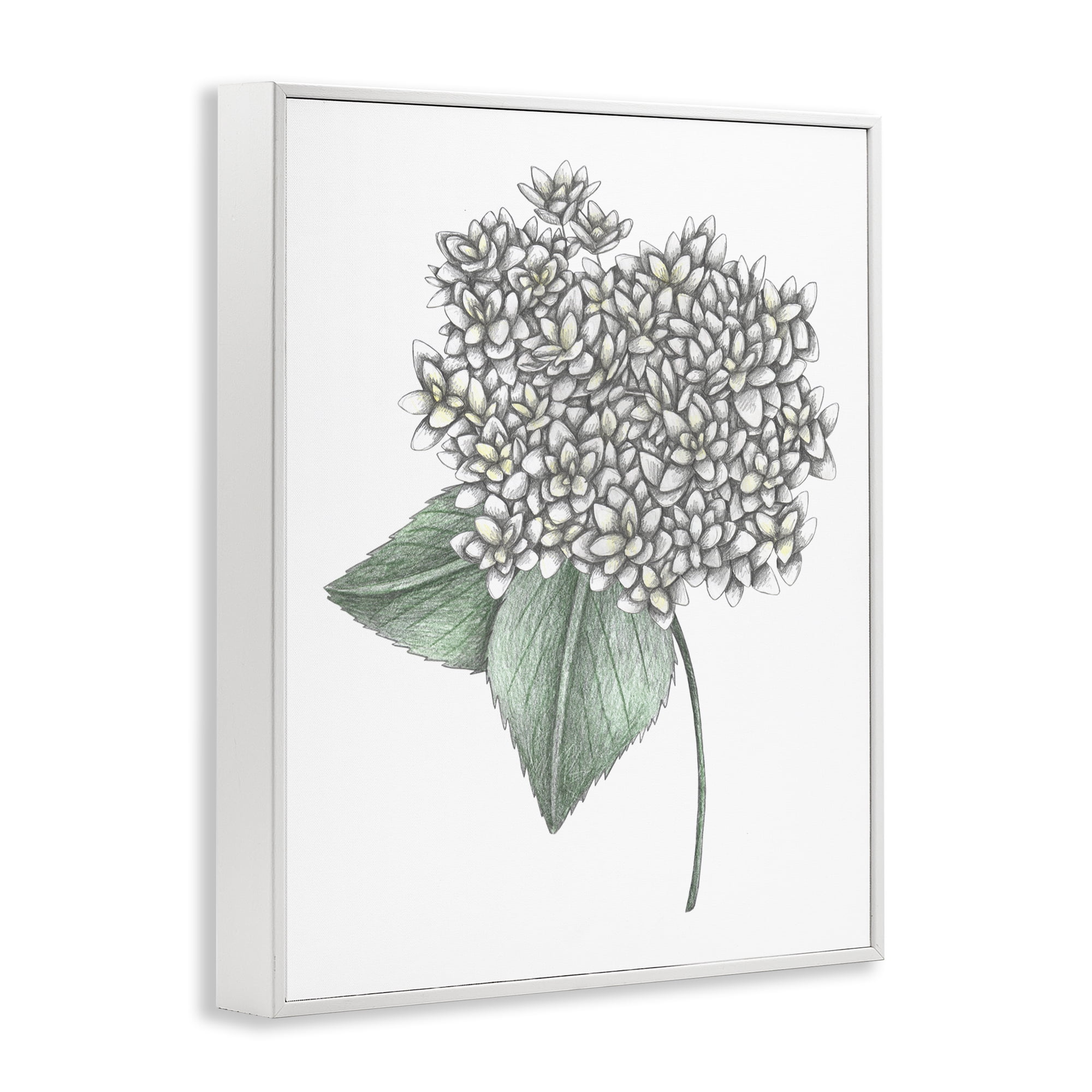 White Hydrangea Sketch Blossom White Framed Giclee Art, design by Cecilia Battaini