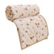 thumbnail image 2 of Cool Feeling Air Conditioning Quilt Ice Silk Summer Quilt Washable Quilt Core Summer Singles Double Thin Quilt Gift Summer Quilt, 2 of 6