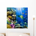 thumbnail image 1 of Coral Colony and Coral Wall Decal by Wallmonkeys Peel and Stick Graphic (18 in H x 18 in W) WM265607, 1 of 4