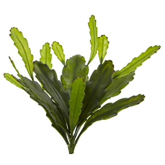 Nearly Natural 14" Plastic/Polyester Epiphyllum Cactus Artificial Plant (Set of 4), Green
