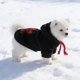 thumbnail image 4 of unbranded Ropa Para Perro Con Capucha Cálida Para Uso En Frío, 4 of 8